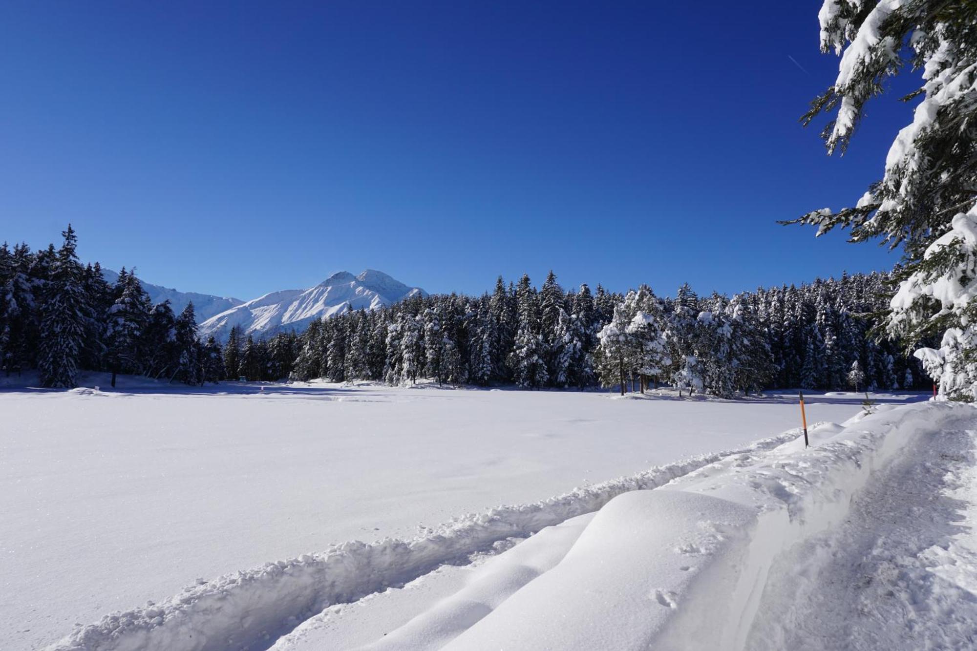 Hotel Pension Tyrol Seefeld in Tirol Exterior foto